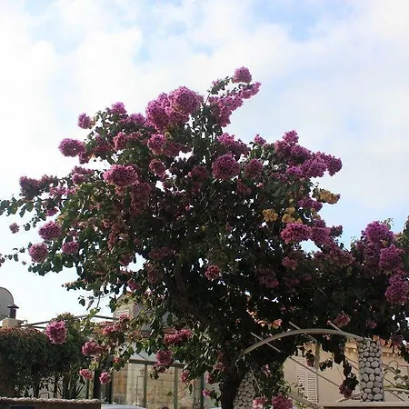 Apartamento With A Parking Space - 8580 Dubrovnik