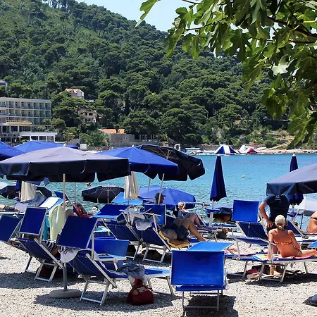 Apartamento With A Parking Space - 8580 Dubrovnik